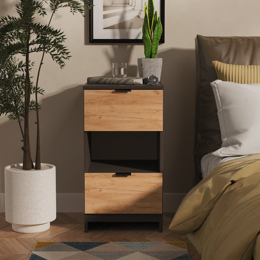 Bora 2 Drawer Locker With Shelf